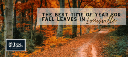 Dirt path through the woods with orange and yellow fall leaves on the trees and ground