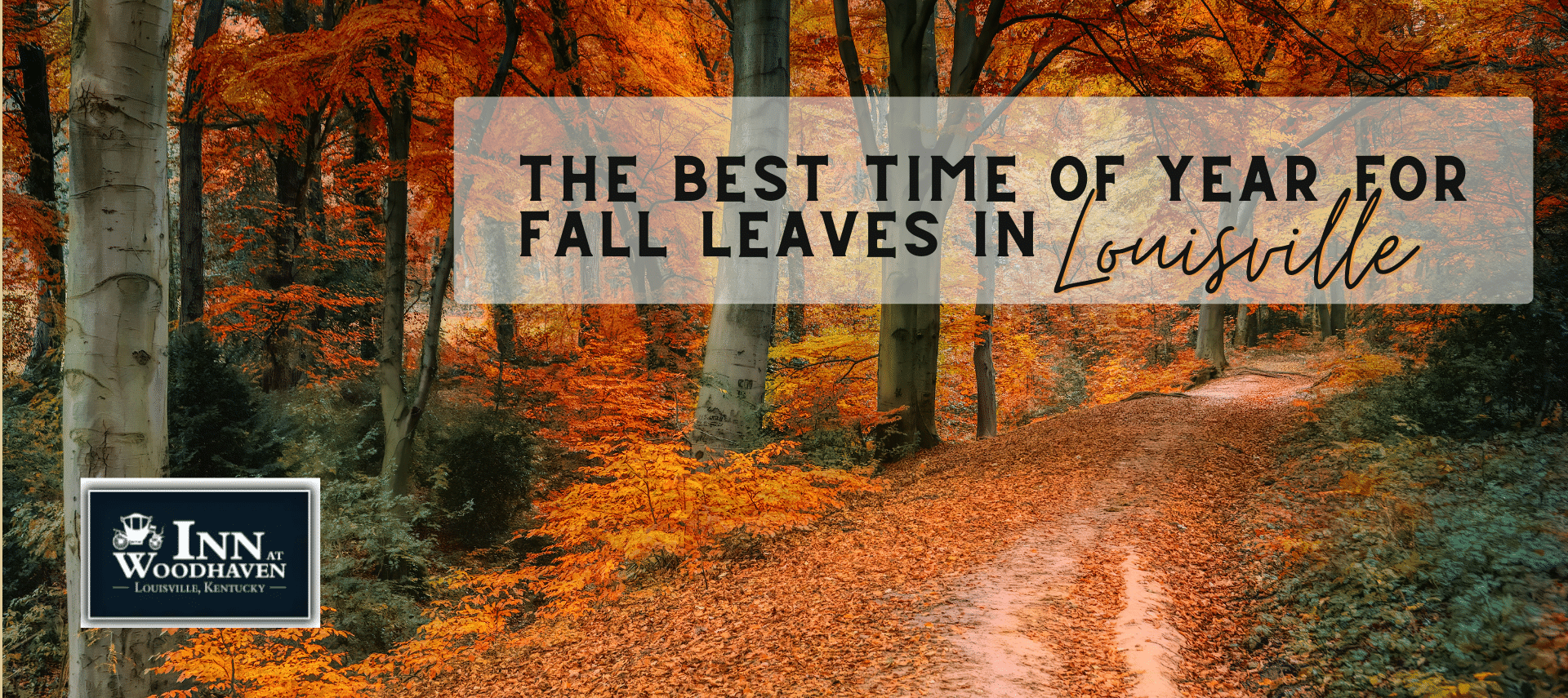 Dirt path through the woods with orange and yellow fall leaves on the trees and ground