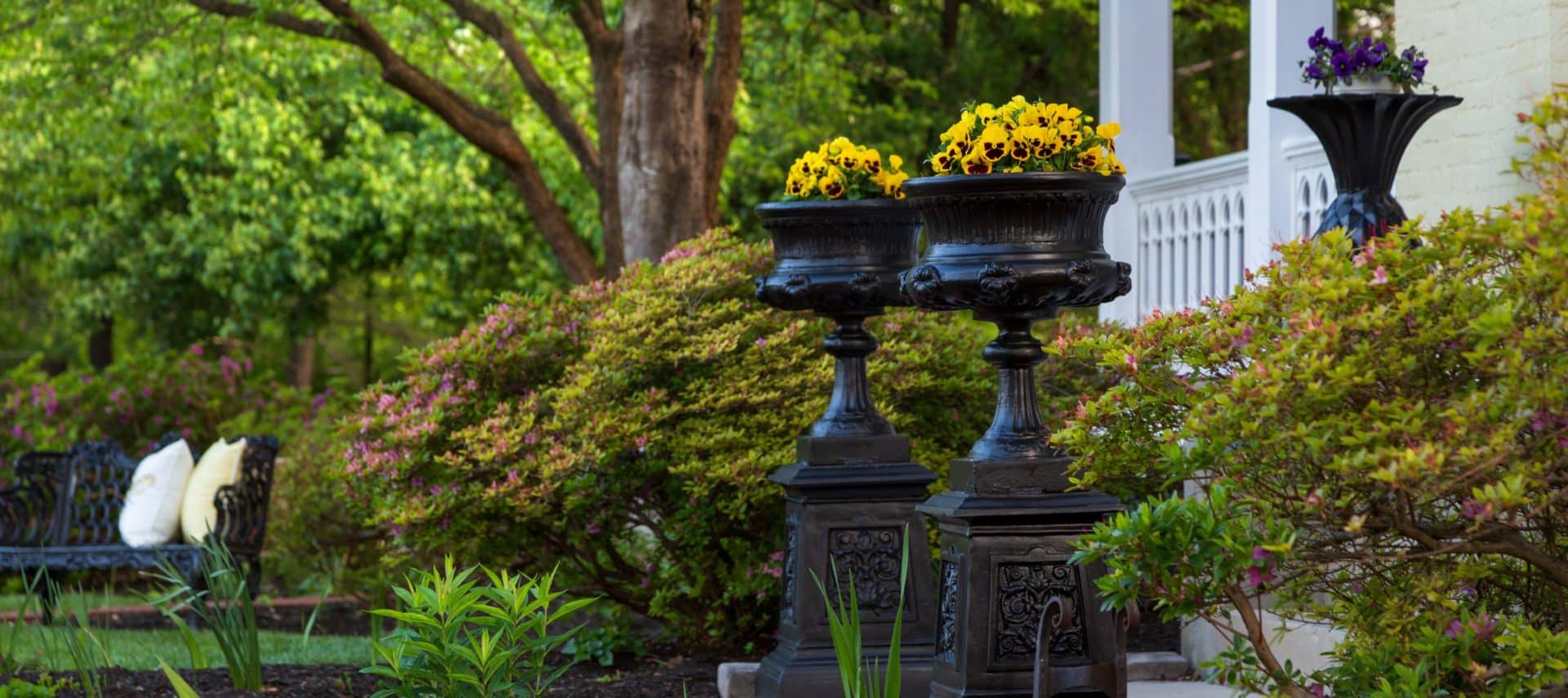 Two black gothic planters with yellow flowers surrounded by lush landscaping.