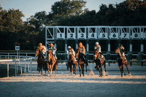 Six brown horses with jockeys racing out of the gate on a sandy track.