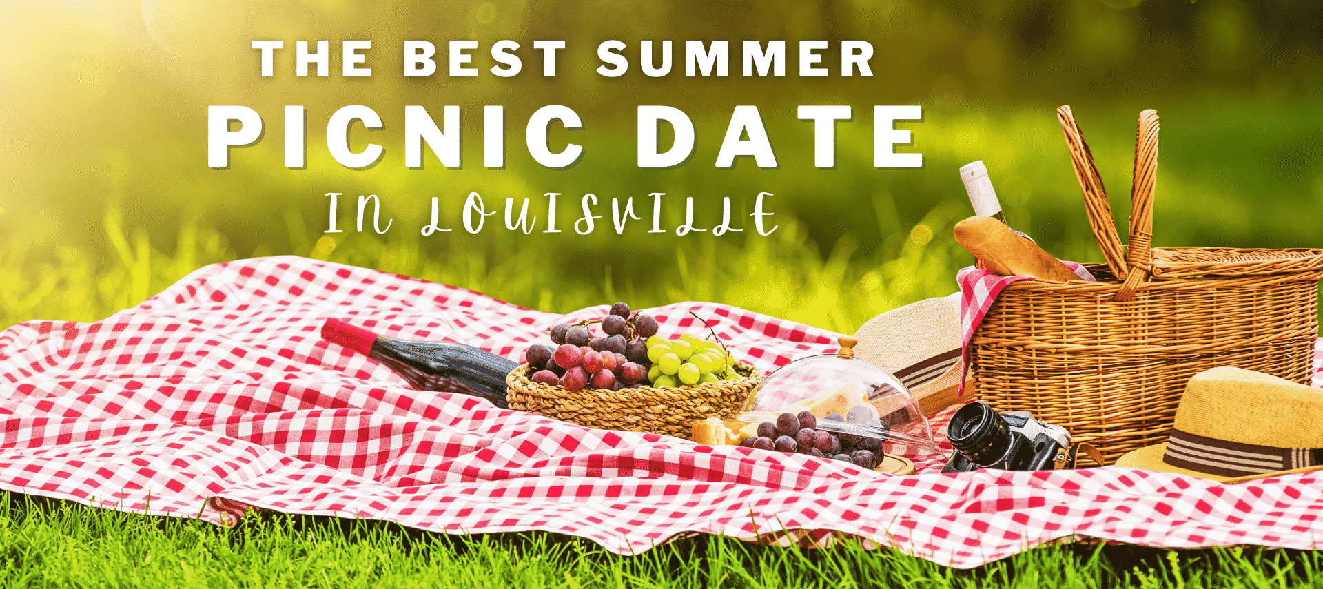 Red and white checkered picnic blanket on grass with a basket of fruit and a bottle of wine.