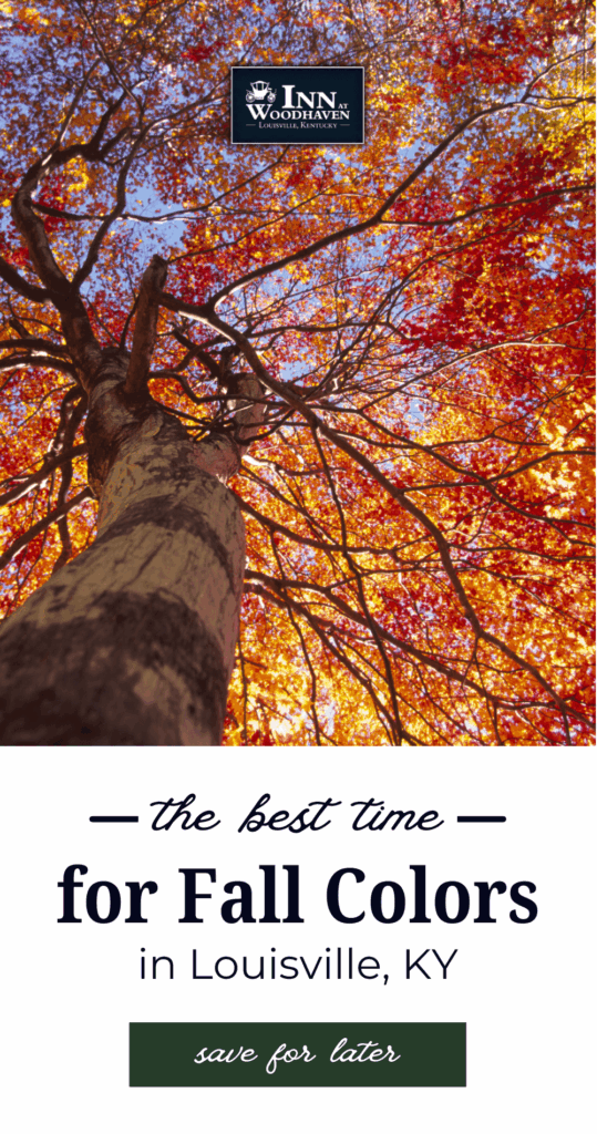 Fall colors in Louisville, Kentucky