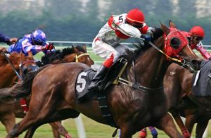 Close up view of dark brown horses and jockeys running in a race