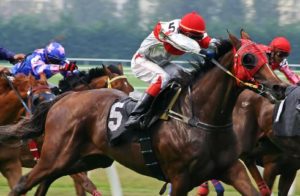 Close up view of dark brown horses and jockeys running in a race